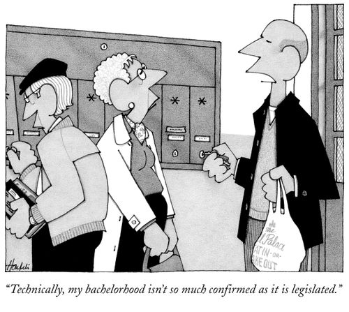 "Technically, my bachelorhood isn't so much confirmed as it is legislated."