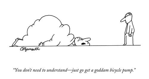 "You don't need to understand—just go get a goddam bicycle pump."