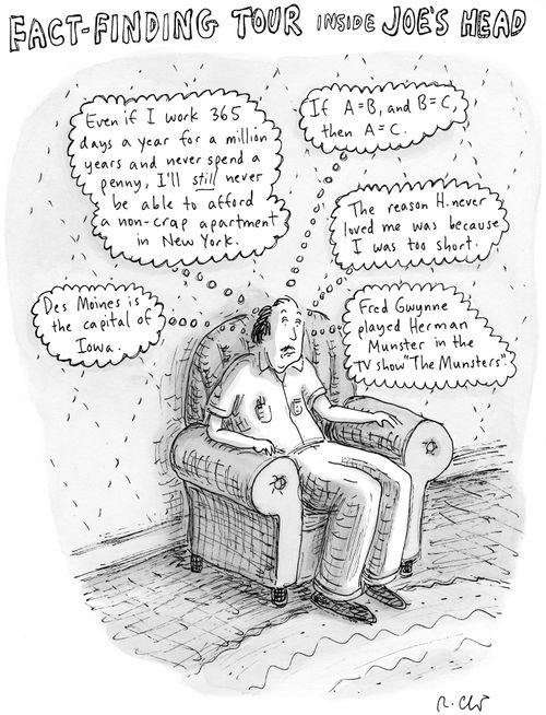 Fact-finding Tour Inside Joe's Head