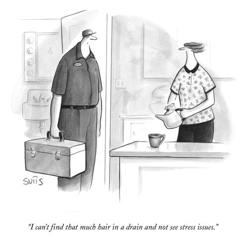 "I can't find that much hair in a drain and not see stress issues."
