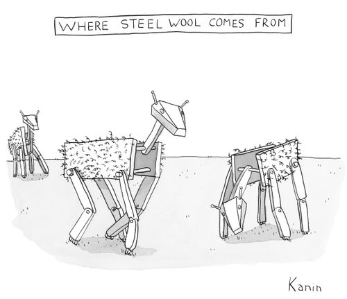Where steel wool comes from.
