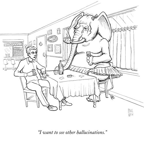 "I want to see other hallucinations."
