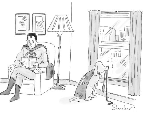 A superhero dog asks to be walked.