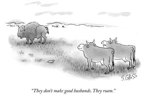"They don't make good husbands. They roam."