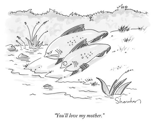 "You'll love my mother."
