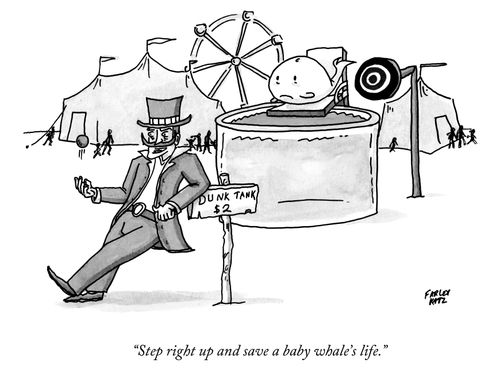 "Step right up and save a baby whale's life."