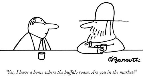 "Yes, I have a home where the buffaloroam. Are you in the market?"