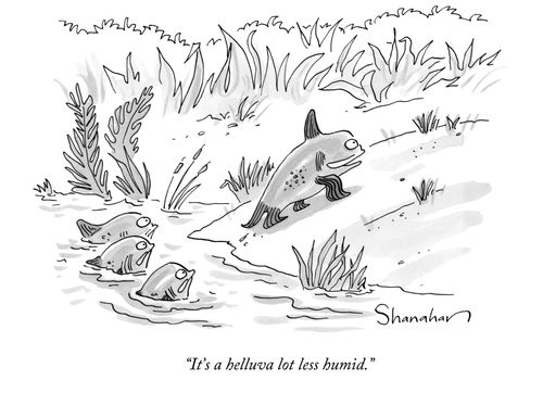 "It's a helluva lot less humid."