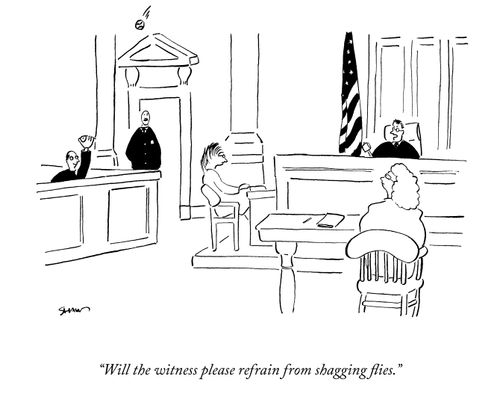 "Will the witness please refrain from shagging flies."