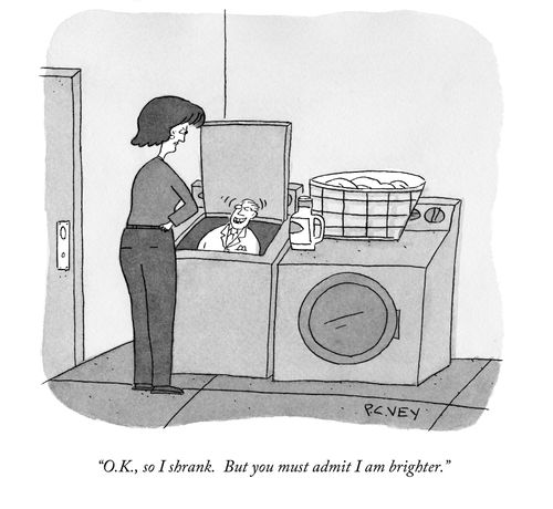 "O.K., so I shrank. But you must admit I am brighter."