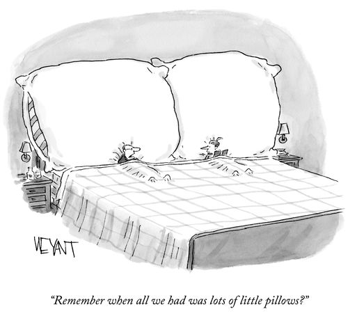 "Remember when all we had was lots of little pillows?"