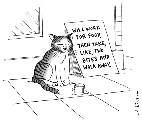 'Will Work For Food, The Take, Like, Two Bites And Walk Away.'
