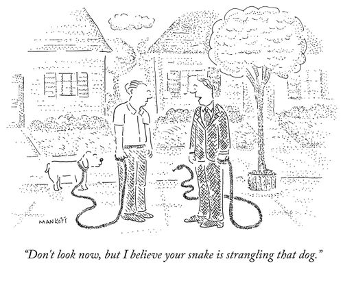 "Don't look now, but I believe your snake is strangling that dog."