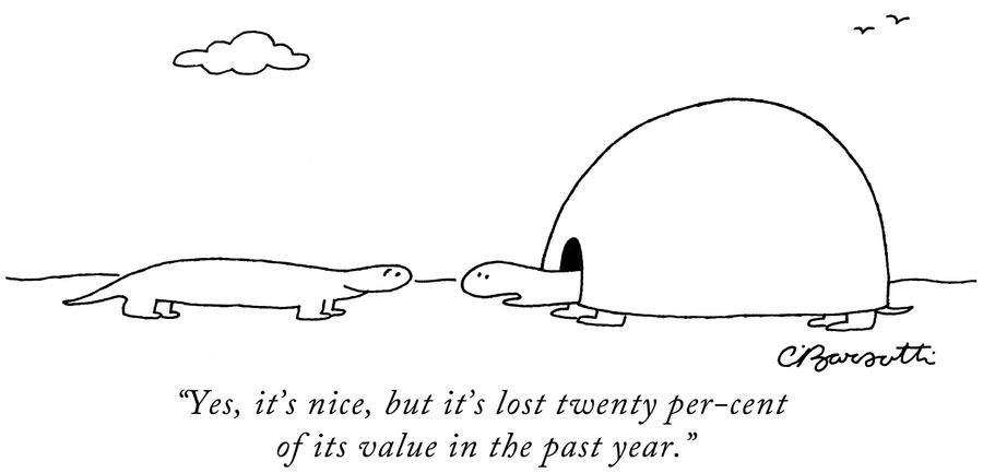 "Yes, it's nice, but it's lost twenty per-cent of its value in the past year."