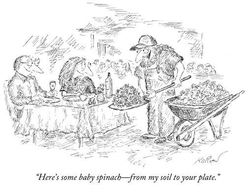 "Here's some baby spinach - from my soil to your plate."