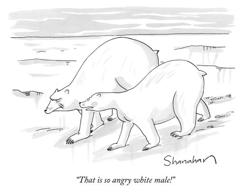 "That is so angry white male!"