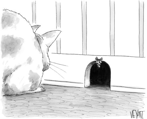 Cat Waits For Mouse To Come And Kiss Under The Mistletoe