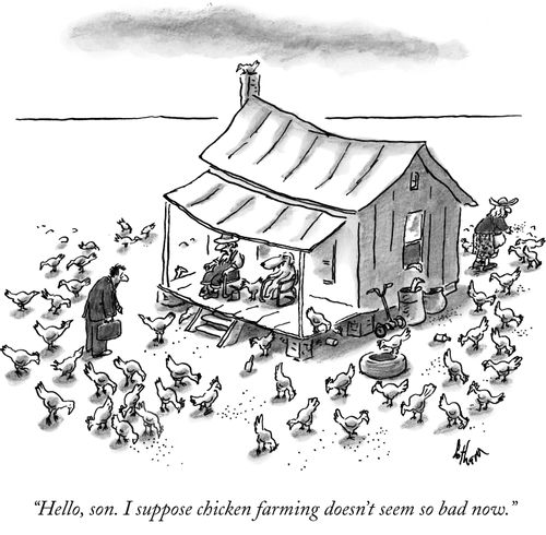 "Hello, son. I suppose chicken farming doesn't seem so bad now."