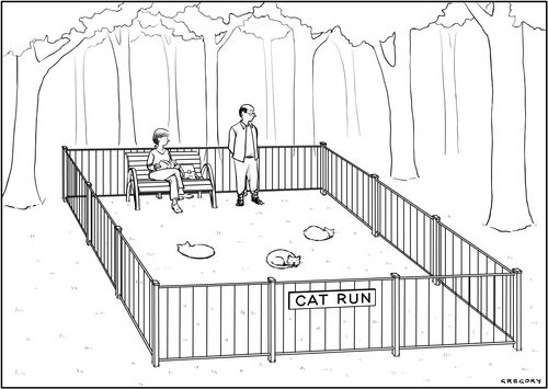 Cat Run