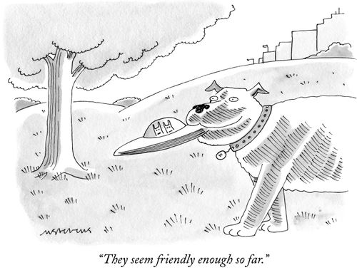 "They seem friendly enough so far."