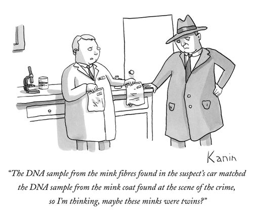 "The DNA sample from the mink fibres found in the suspect's car matched the DNA sample from the mink coat found at the scene of the crime, so I'm thinking, maybe these minks were twins?"