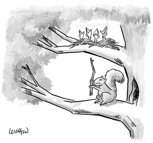A squirrel is irritated by its upstairs neighbors.