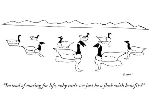 "Instead of mating for life, why can't we just be a flock with benefits?"