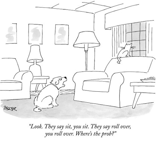 "Look. They say sit, you sit. They say roll over, you roll over. Where's the prob?"
