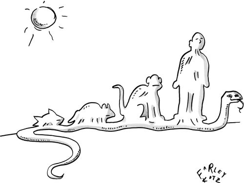 A snake eats evolving animals.