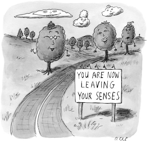 You Are Now leaving Your Senses