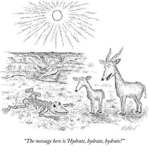 "The message here is 'Hydrate, hydrate, hydrate!'"