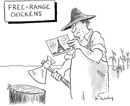 Free-Range Chickens