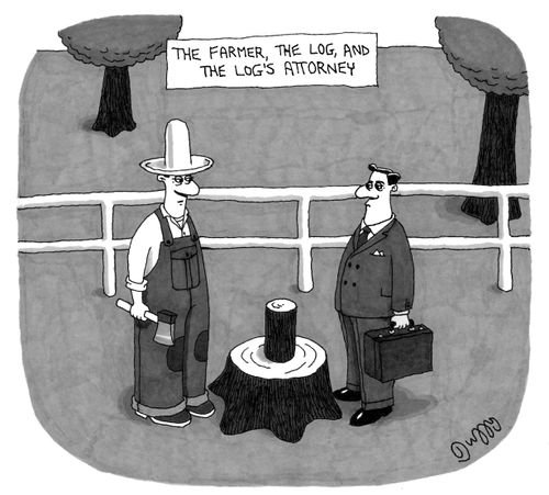 The Farmer, The Log And The Log's Attorney