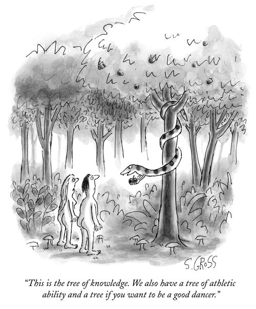"This is the tree of knowledge. We also have a tree of athletic ability and a tree if you want to be a good dancer."