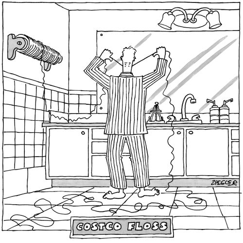 Costco Floss