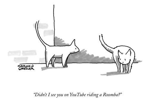 "Didn't I see you on YouTube riding a Roomba?"
