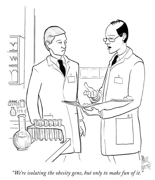 "We're isolating the obesity gene, but only to make fun of it."