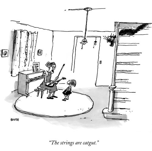 "The strings are catgut."