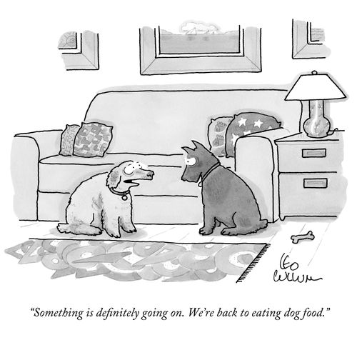 "Something is definitely going on. We're back to eating dog food."