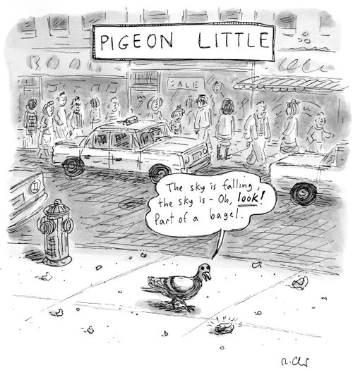 Pigeon Little