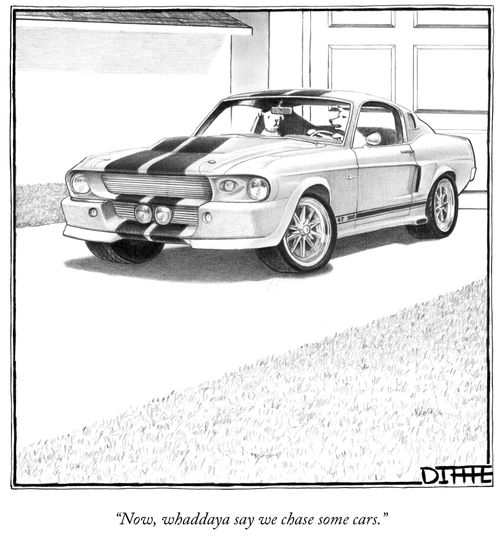 "Now, whaddaya say we chase some cars."