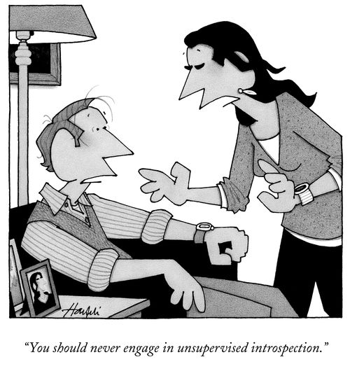 "You should never engage in unsupervised introspection."