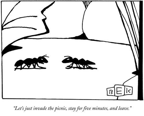 "Let's just invade the picnic, stay for five minutes, and leave."