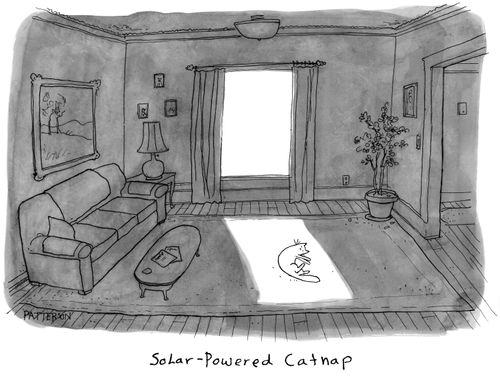 Solar-Powered Catnap