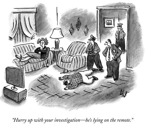 "Hurry up with your investigation—he's lying on the remote."