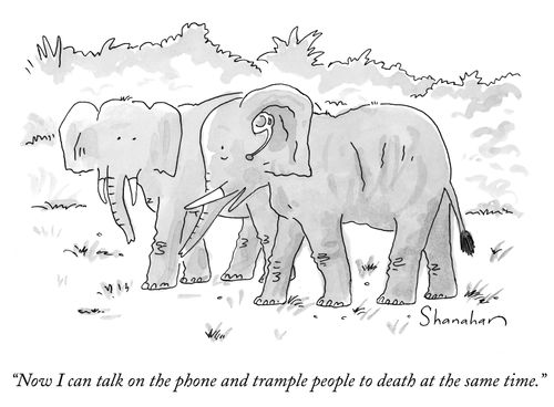 "Now I can talk on the phone and trample people to death at the same time."