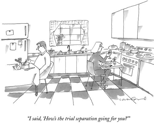 "I said, 'How's the trial separation going for you?'"