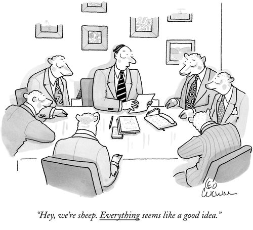 "Hey, we're sheep. Everything seems like a good idea."