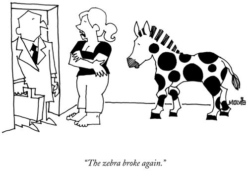 "The zebra broke again."