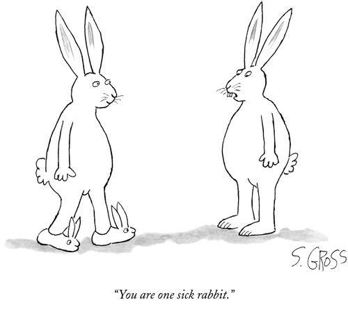 "You are one sick rabbit."